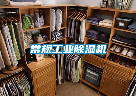 常規(guī)工業(yè)除濕機(jī)