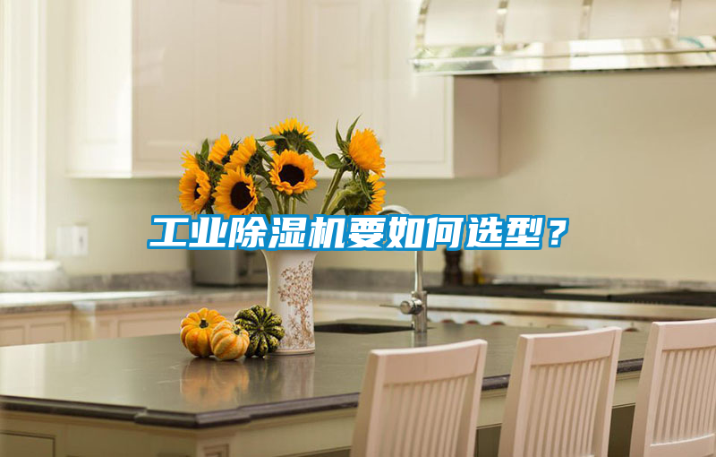 工業除濕機要如何選型？