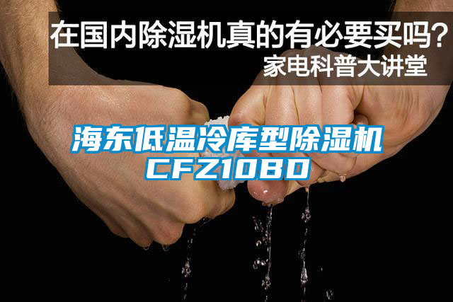 海東低溫冷庫(kù)型除濕機(jī)CFZ10BD