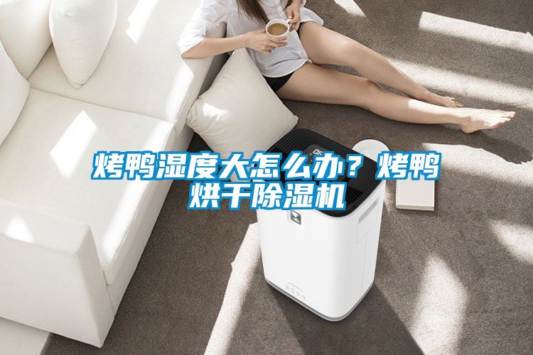 烤鴨濕度大怎么辦？烤鴨烘干除濕機