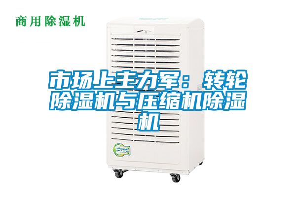 市場上主力軍：轉輪除濕機與壓縮機除濕機