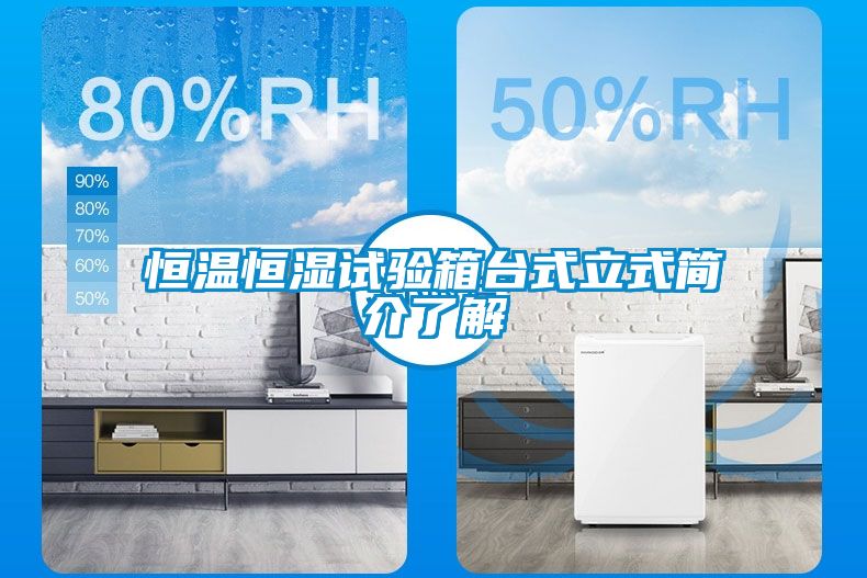 恒溫恒濕試驗(yàn)箱臺(tái)式立式簡(jiǎn)介了解