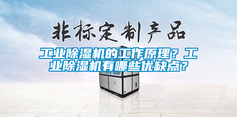 工業(yè)除濕機的工作原理？工業(yè)除濕機有哪些優(yōu)缺點？
