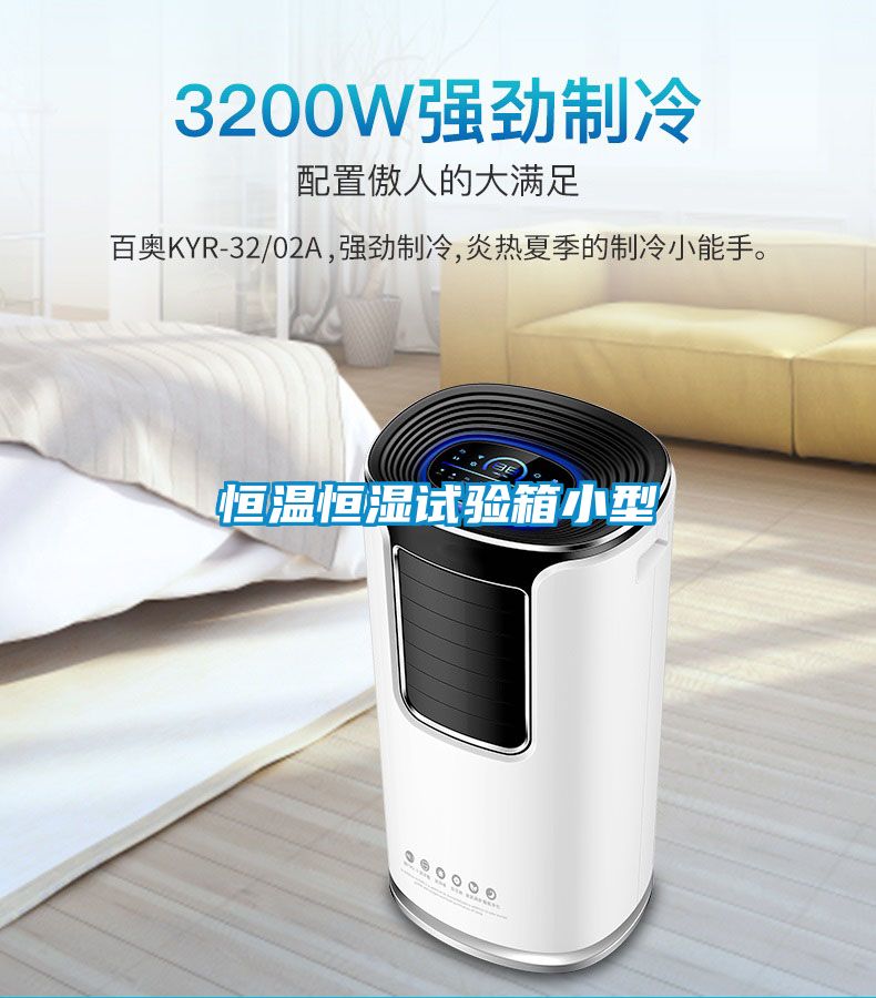 恒溫恒濕試驗(yàn)箱小型