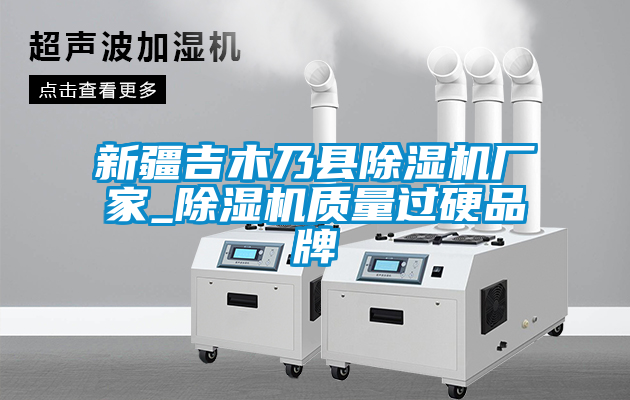 新疆吉木乃縣除濕機廠家_除濕機質(zhì)量過硬品牌