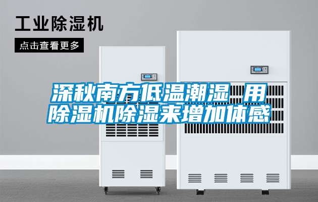 深秋南方低溫潮濕 用除濕機(jī)除濕來增加體感