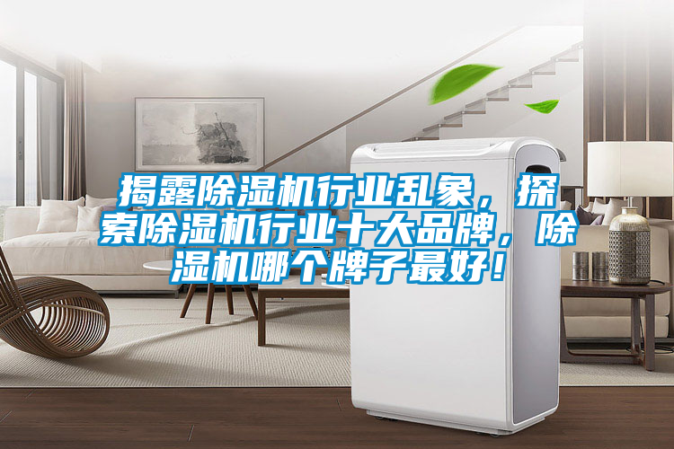 揭露除濕機行業亂象，探索除濕機行業十大品牌，除濕機哪個牌子最好！