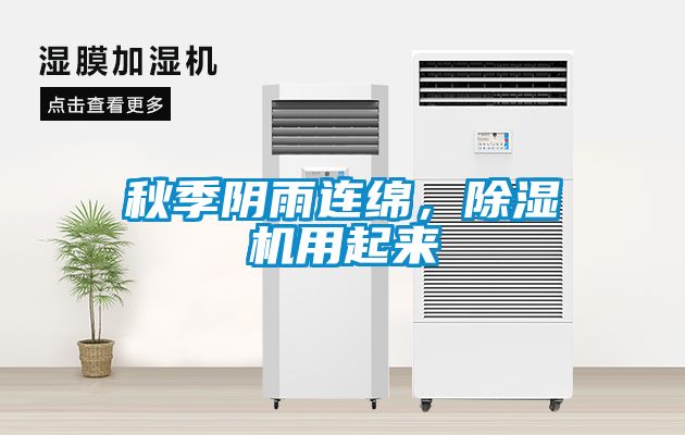 秋季陰雨連綿，除濕機用起來