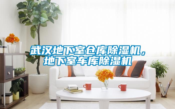 武漢地下室倉庫除濕機，地下室車庫除濕機