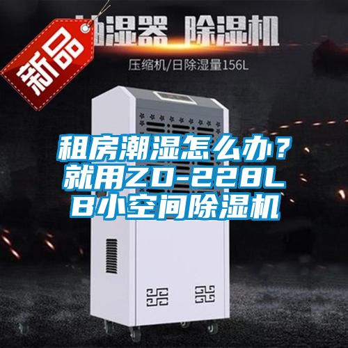 租房潮濕怎么辦？就用ZD-228LB小空間除濕機