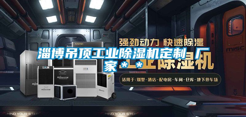 淄博吊頂工業(yè)除濕機定制 廠家＊＊