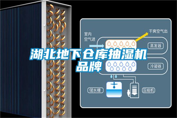 湖北地下倉(cāng)庫(kù)抽濕機(jī)品牌