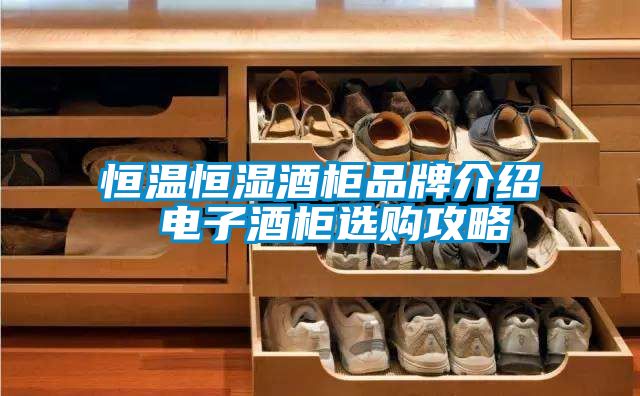恒溫恒濕酒柜品牌介紹 電子酒柜選購(gòu)攻略