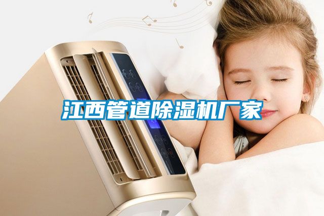 江西管道除濕機(jī)廠家