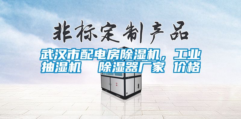 武漢市配電房除濕機(jī)，工業(yè)抽濕機(jī)  除濕器廠(chǎng)家 價(jià)格