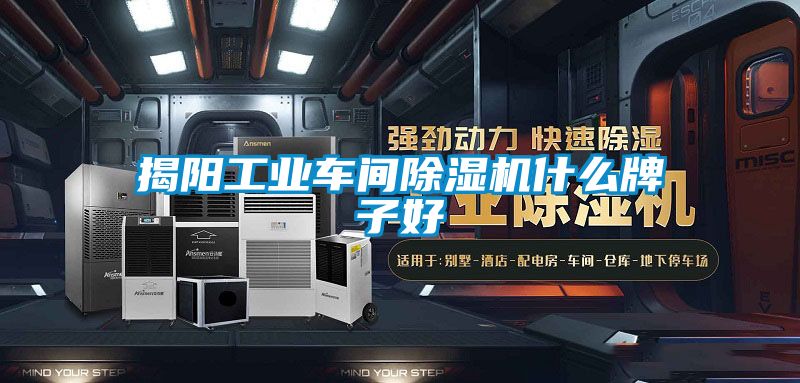 揭陽工業(yè)車間除濕機(jī)什么牌子好