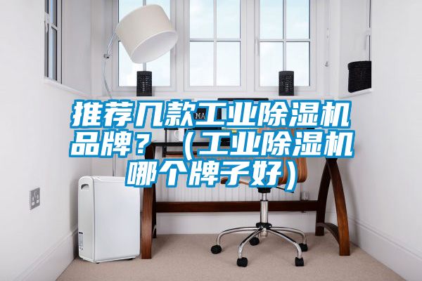 推薦幾款工業(yè)除濕機(jī)品牌？（工業(yè)除濕機(jī)哪個(gè)牌子好）