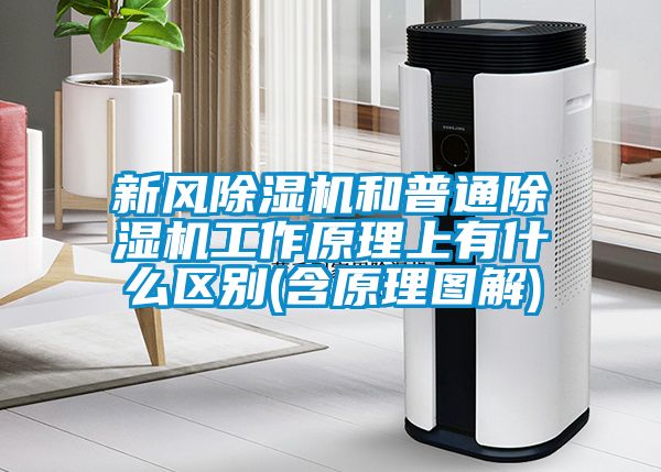 新風(fēng)除濕機(jī)和普通除濕機(jī)工作原理上有什么區(qū)別(含原理圖解)