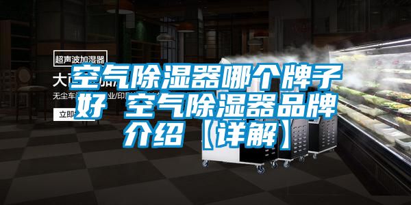 空氣除濕器哪個牌子好 空氣除濕器品牌介紹【詳解】