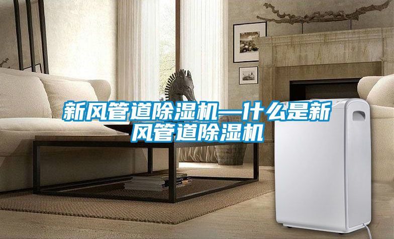 新風(fēng)管道除濕機(jī)—什么是新風(fēng)管道除濕機(jī)