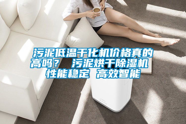 污泥低溫干化機(jī)價(jià)格真的高嗎？ 污泥烘干除濕機(jī) 性能穩(wěn)定 高效智能
