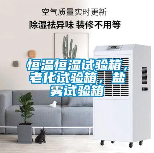 恒溫恒濕試驗箱，老化試驗箱，鹽霧試驗箱