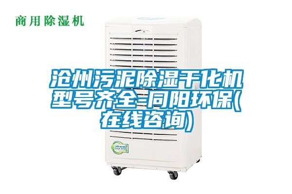 滄州污泥除濕干化機型號齊全-同陽環(huán)保(在線咨詢)