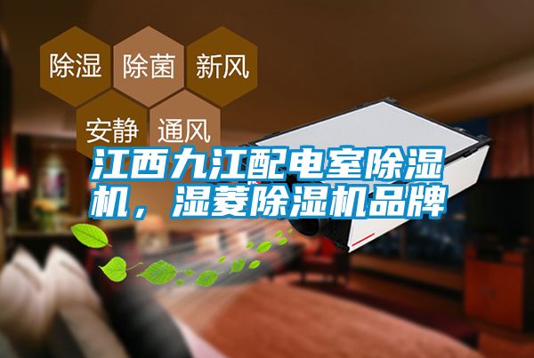 江西九江配電室除濕機，濕菱除濕機品牌