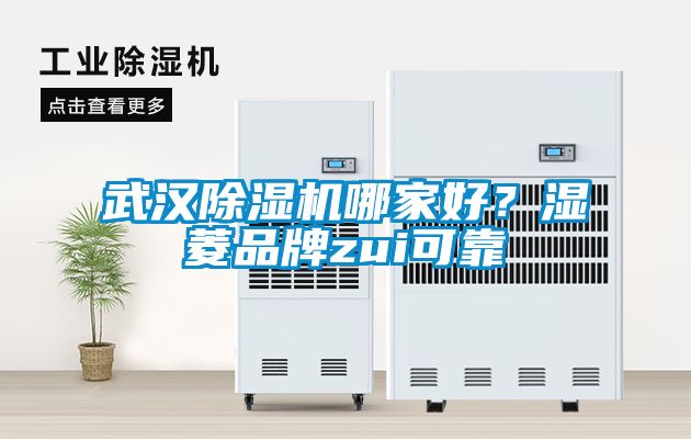 武漢除濕機哪家好？濕菱品牌zui可靠