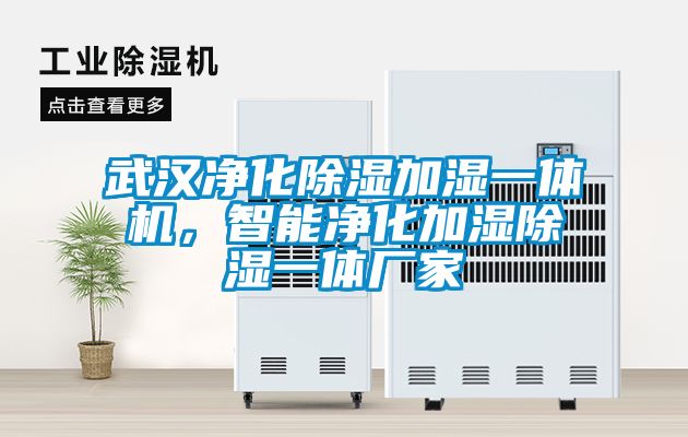 武漢凈化除濕加濕一體機，智能凈化加濕除濕一體廠家