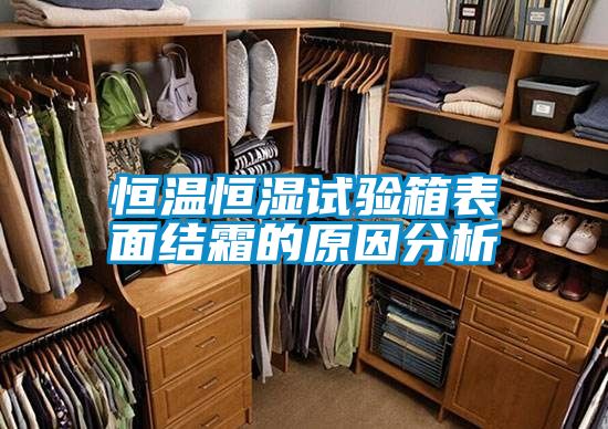恒溫恒濕試驗箱表面結(jié)霜的原因分析