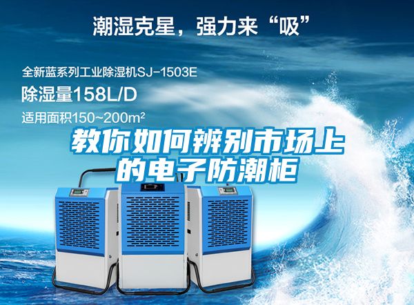 教你如何辨別市場上的電子防潮柜