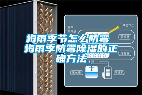 梅雨季節(jié)怎么防霉 梅雨季防霉除濕的正確方法