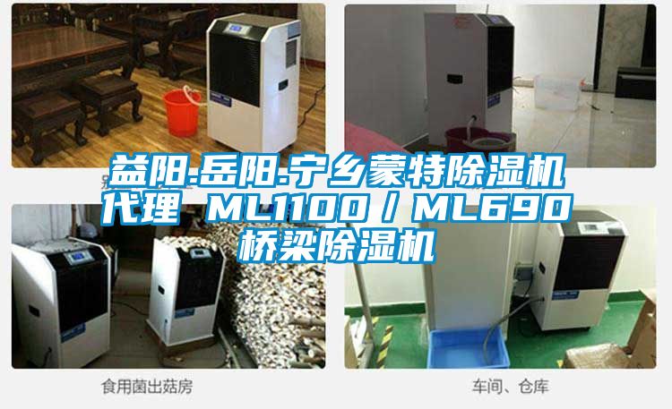 益陽.岳陽.寧鄉(xiāng)蒙特除濕機代理 ML1100／ML690橋梁除濕機