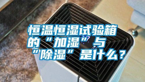 恒溫恒濕試驗(yàn)箱的“加濕”與“除濕”是什么？