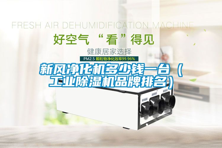 新風(fēng)凈化機(jī)多少錢一臺（工業(yè)除濕機(jī)品牌排名）