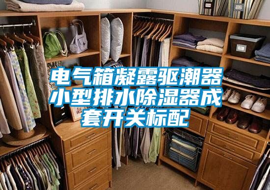 電氣箱凝露驅(qū)潮器小型排水除濕器成套開關標配