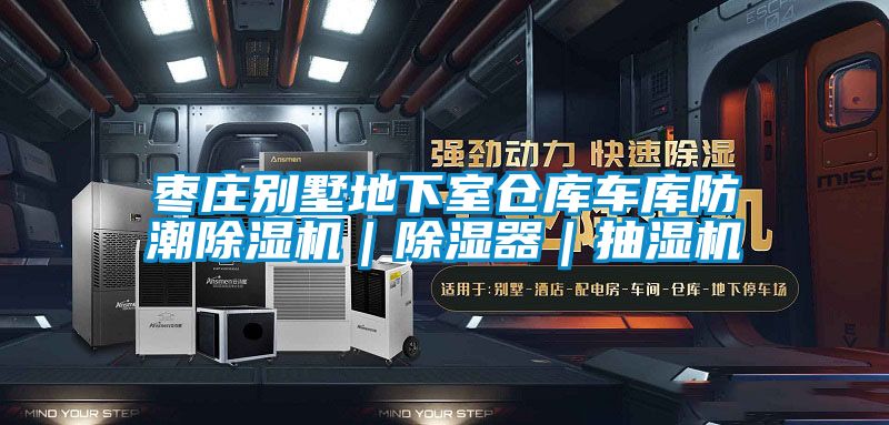 棗莊別墅地下室倉(cāng)庫(kù)車(chē)庫(kù)防潮除濕機(jī)｜除濕器｜抽濕機(jī)