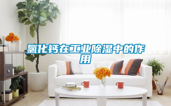 氯化鈣在工業除濕中的作用