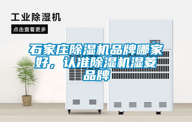 石家莊除濕機(jī)品牌哪家好，認(rèn)準(zhǔn)除濕機(jī)濕菱品牌