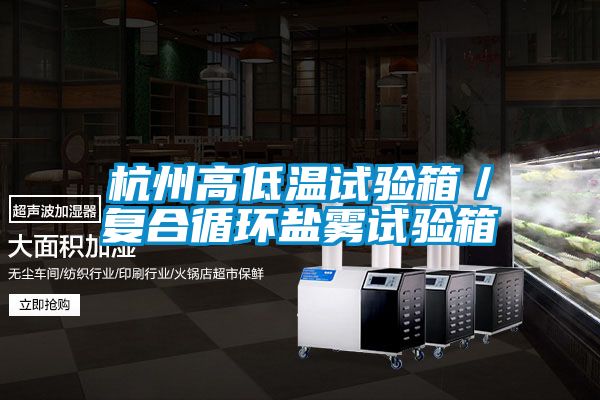 杭州高低溫試驗箱／復(fù)合循環(huán)鹽霧試驗箱