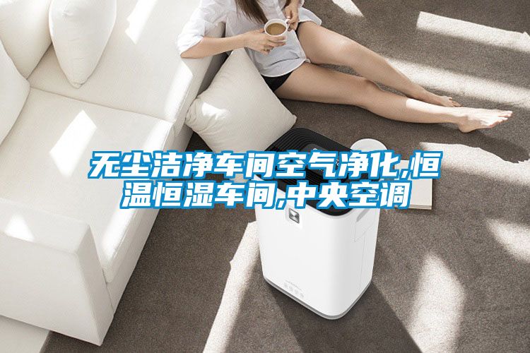 無(wú)塵潔凈車(chē)間空氣凈化,恒溫恒濕車(chē)間,中央空調(diào)