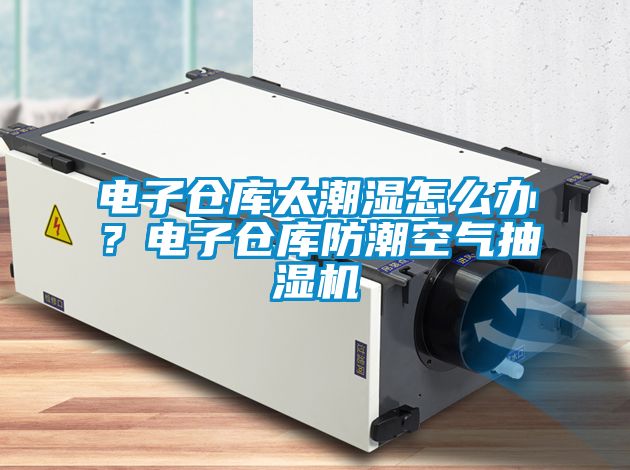電子倉庫太潮濕怎么辦？電子倉庫防潮空氣抽濕機(jī)