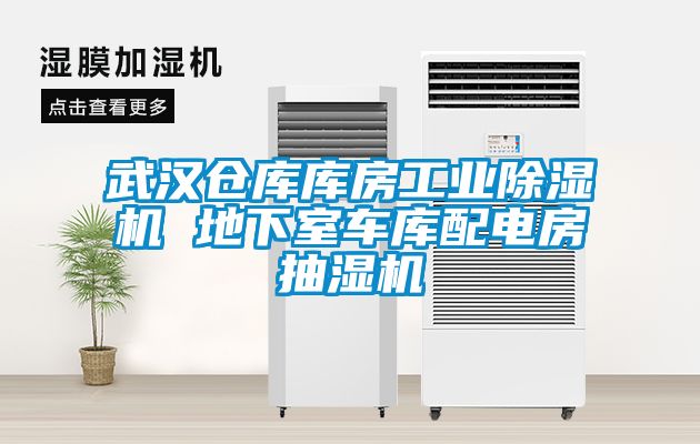 武漢倉庫庫房工業除濕機 地下室車庫配電房抽濕機