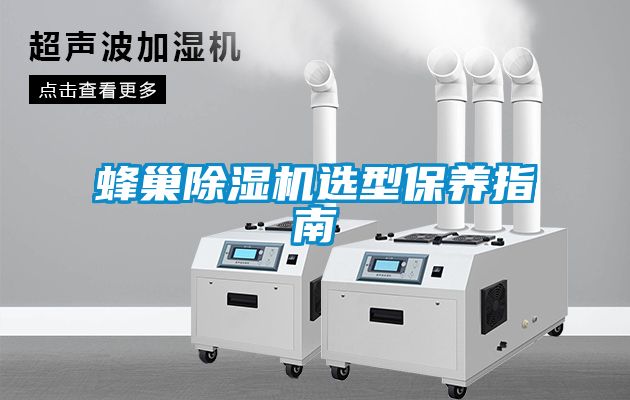 蜂巢除濕機選型保養(yǎng)指南