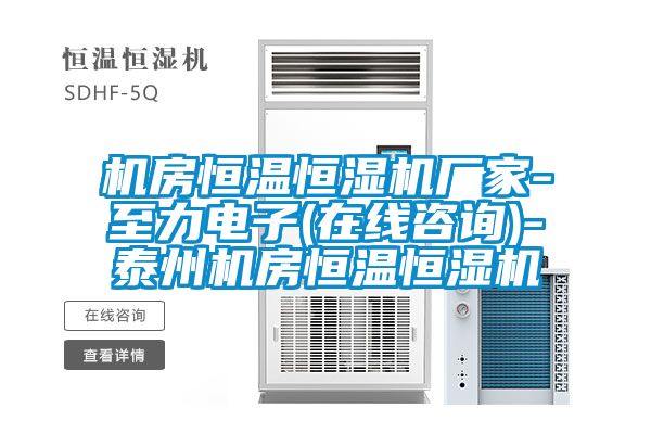 機房恒溫恒濕機廠家-至力電子(在線咨詢)-泰州機房恒溫恒濕機