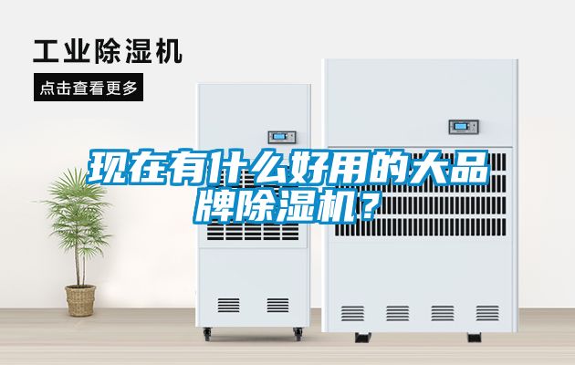 現在有什么好用的大品牌除濕機？
