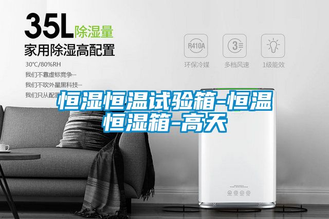 恒濕恒溫試驗(yàn)箱-恒溫恒濕箱-高天