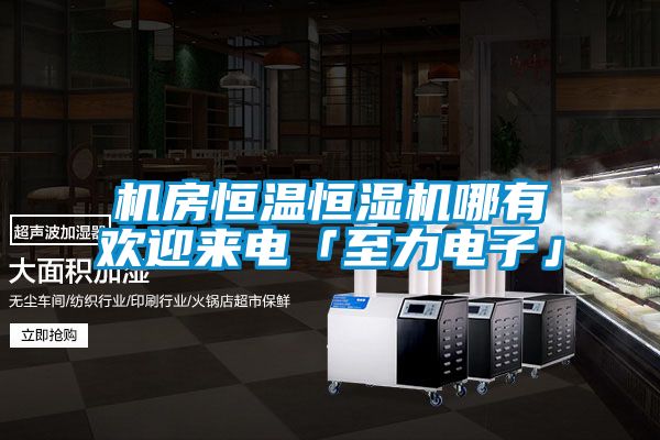 機房恒溫恒濕機哪有歡迎來電「至力電子」