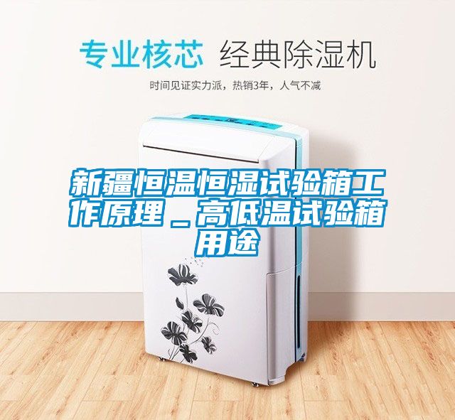 新疆恒溫恒濕試驗(yàn)箱工作原理＿高低溫試驗(yàn)箱用途